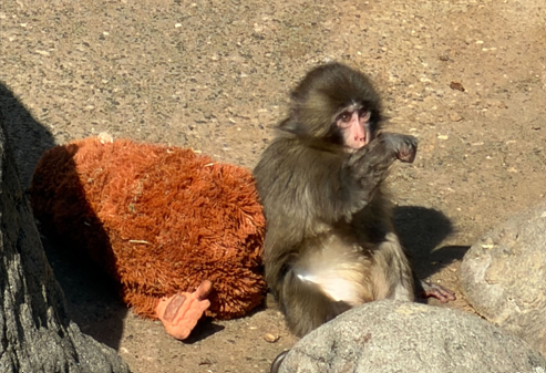 がんばれパンチくん！パンチくんに会いに行ってきた！
